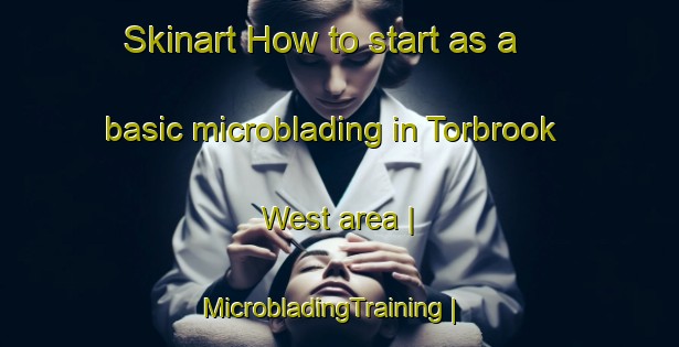 Skinart How to start as a basic microblading in Torbrook West area | MicrobladingTraining | MicrobladingClasses | SkinartTraining-Canada